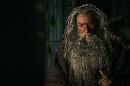 InArt Gandalf The Grey 1/6 Collectible Figure