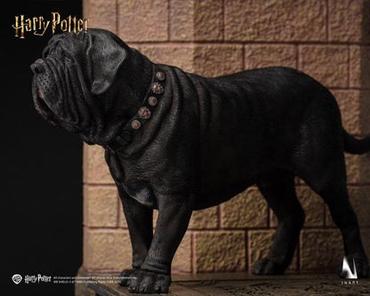 PRE-ORDER INART Harry Potter and the Philosopher's Stone - Draco Malfoy 1/6 Collectible Figure